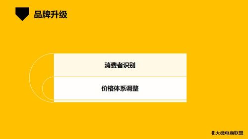 北大微電商聯(lián)盟 移動互聯(lián)網(wǎng)時(shí)代的企業(yè)IP與品牌營銷新路徑